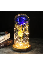 LED Illuminated Enchanted Rose Lamp