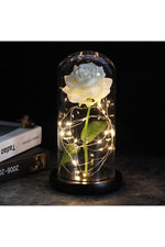 LED Illuminated Enchanted Rose Lamp