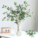 Ficus Branch Luxury Decor