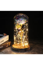 LED Illuminated Enchanted Rose Lamp