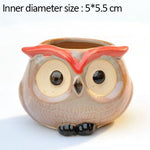 Wise Owl Ceramic Flower Pot