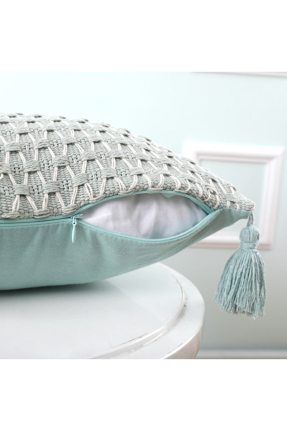 Decorative Tassel Pillow Case