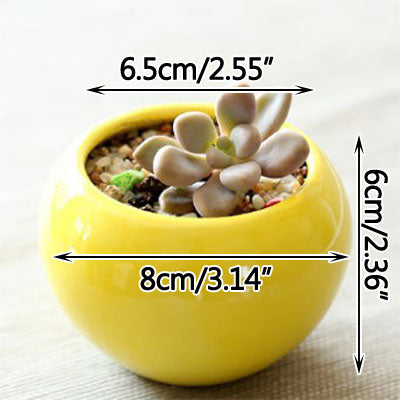 Spherical Pastel Charm Flower Pot