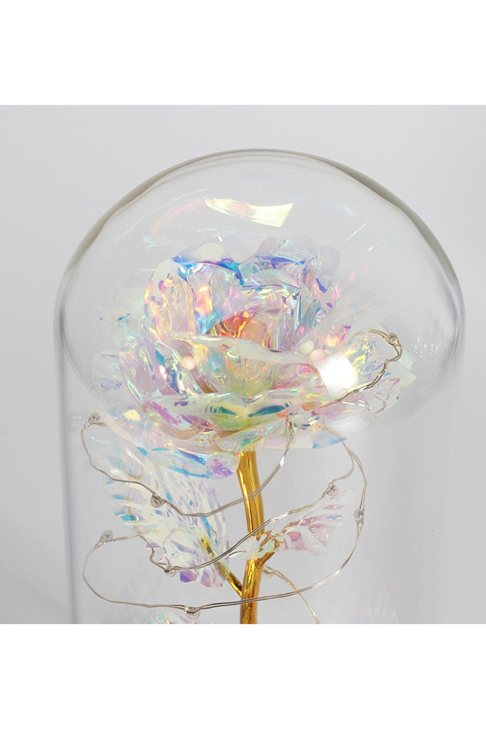 LED Illuminated Enchanted Rose Lamp