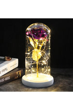 LED Illuminated Enchanted Rose Lamp