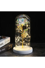 LED Illuminated Enchanted Rose Lamp