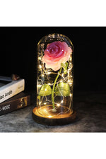 LED Illuminated Enchanted Rose Lamp