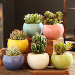 Spherical Pastel Charm Flower Pot