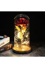 LED Illuminated Enchanted Rose Lamp