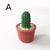 Cottagecore Cute Artificial Plant Cactus