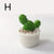 Cottagecore Cute Artificial Plant Cactus