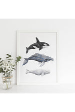 Orca Whales Themed Canvas Poster