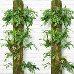 Rustic Simulated Tree Bark Decor