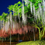 Artificial Plants Cherry Blossom Vine