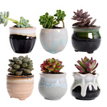 Flow Glaze Succulent Plant Pot