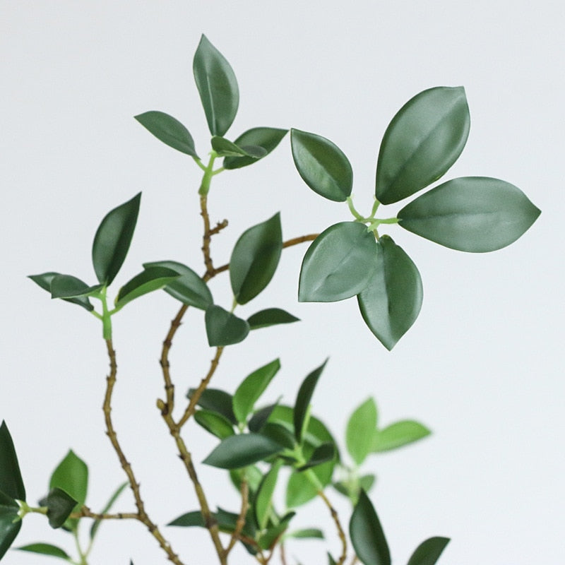 Luxury Ficus Branch Decor