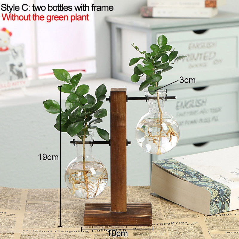 Hydroponic Plant Vases
