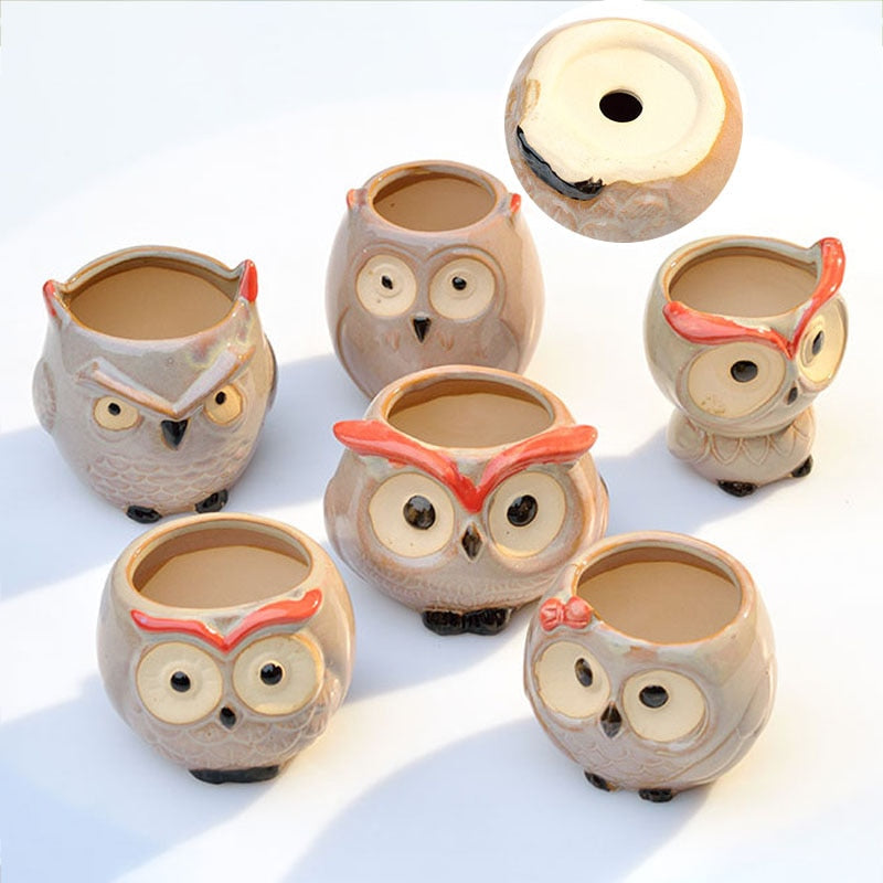 Wise Owl Ceramic Flower Pot