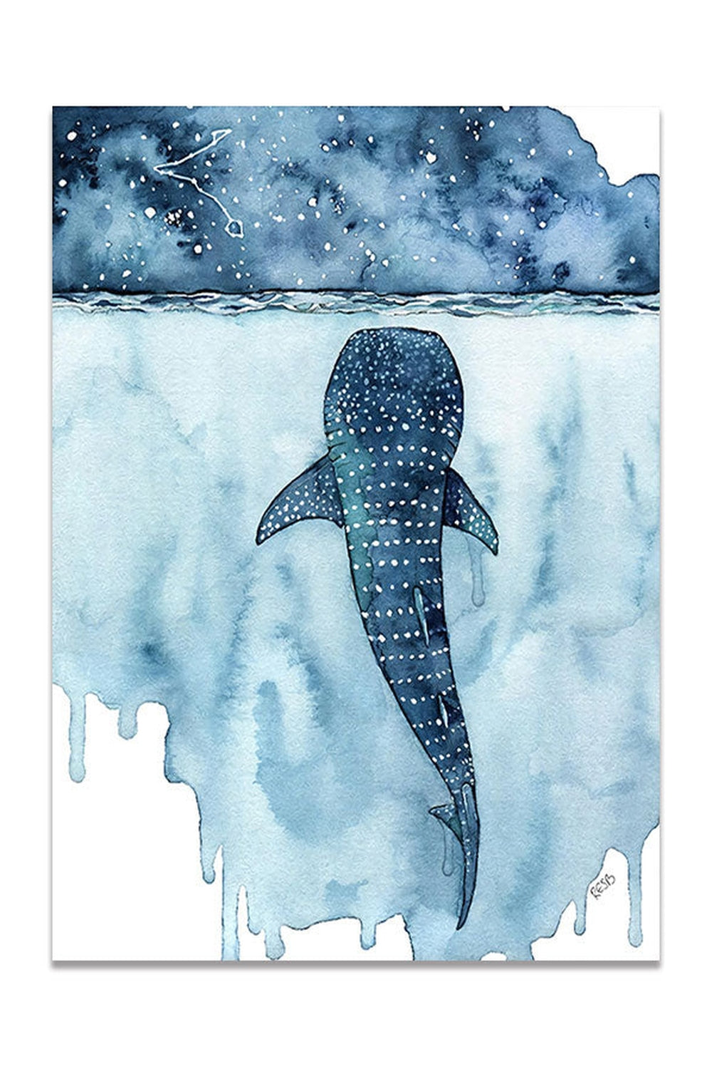 Whales Themed Canvas Poster