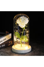 LED Illuminated Enchanted Rose Lamp