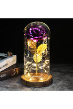 LED Illuminated Enchanted Rose Lamp