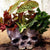 Goth Skull Flower Pot Halloween