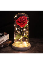 LED Illuminated Enchanted Rose Lamp