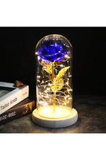 LED Illuminated Enchanted Rose Lamp