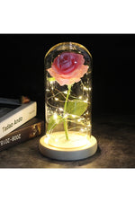 LED Illuminated Enchanted Rose Lamp