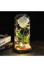 LED Illuminated Enchanted Rose Lamp