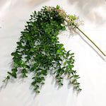 Eucalyptus Tree Branches Decor