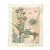 Vintage Botanical Wildflowers Tapestry