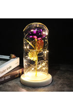 LED Illuminated Enchanted Rose Lamp