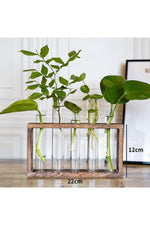 Wooden Hydroponic Plant Vases