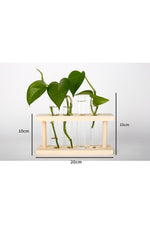 Wooden Hydroponic Plant Vases