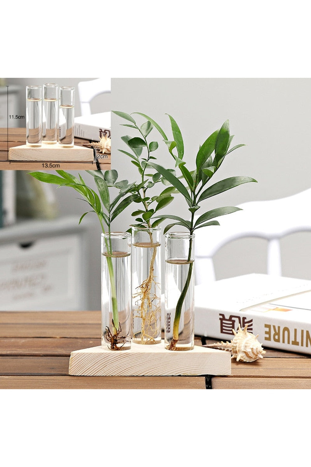 Wooden Hydroponic Plant Vases