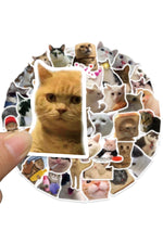 Waterproof Cat Fun Stickers 50PCS