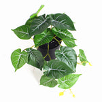 Mini Green Vine Wall Decor