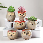 Wise Owl Ceramic Flower Pot