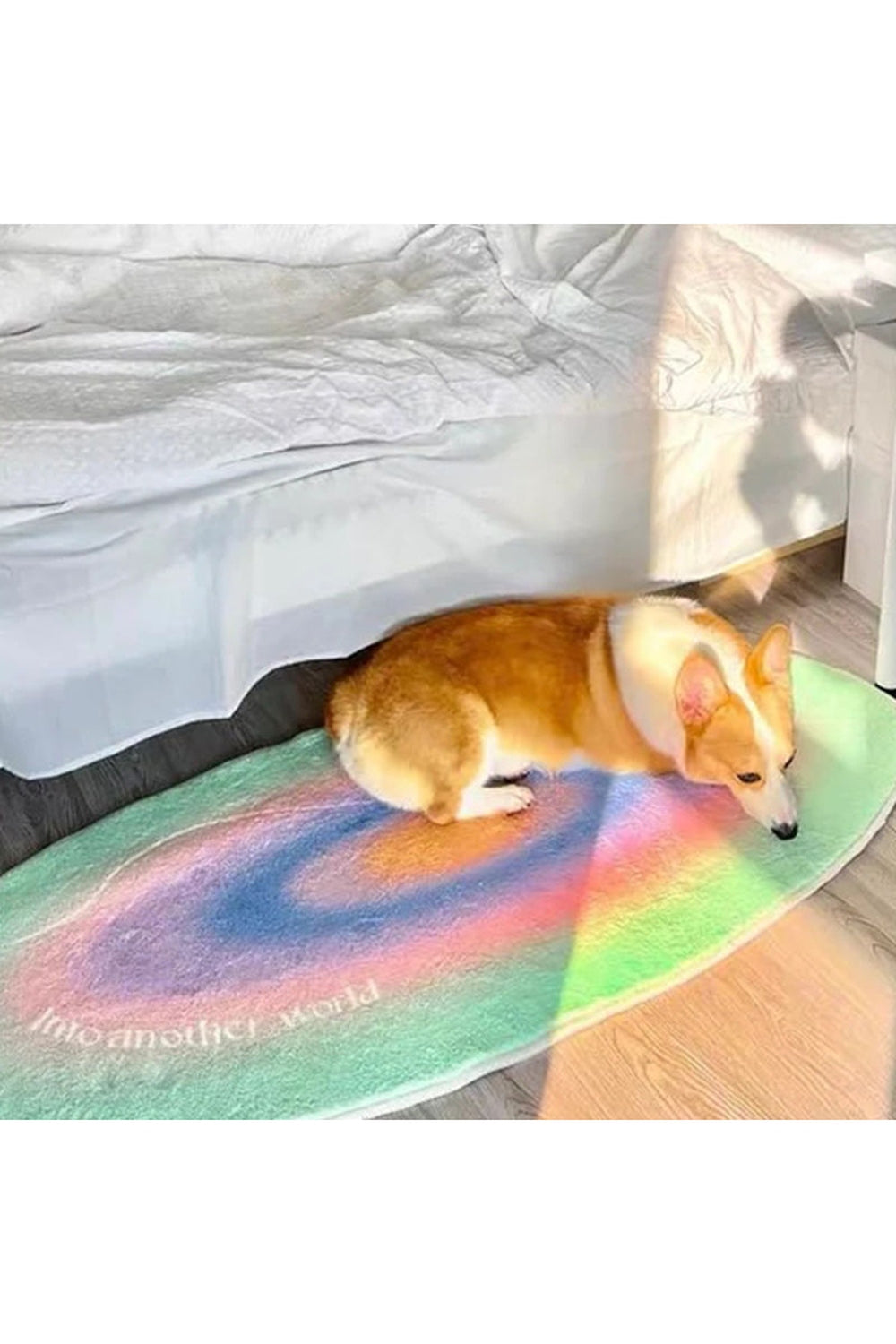 Rainbow Aura Circular Rug