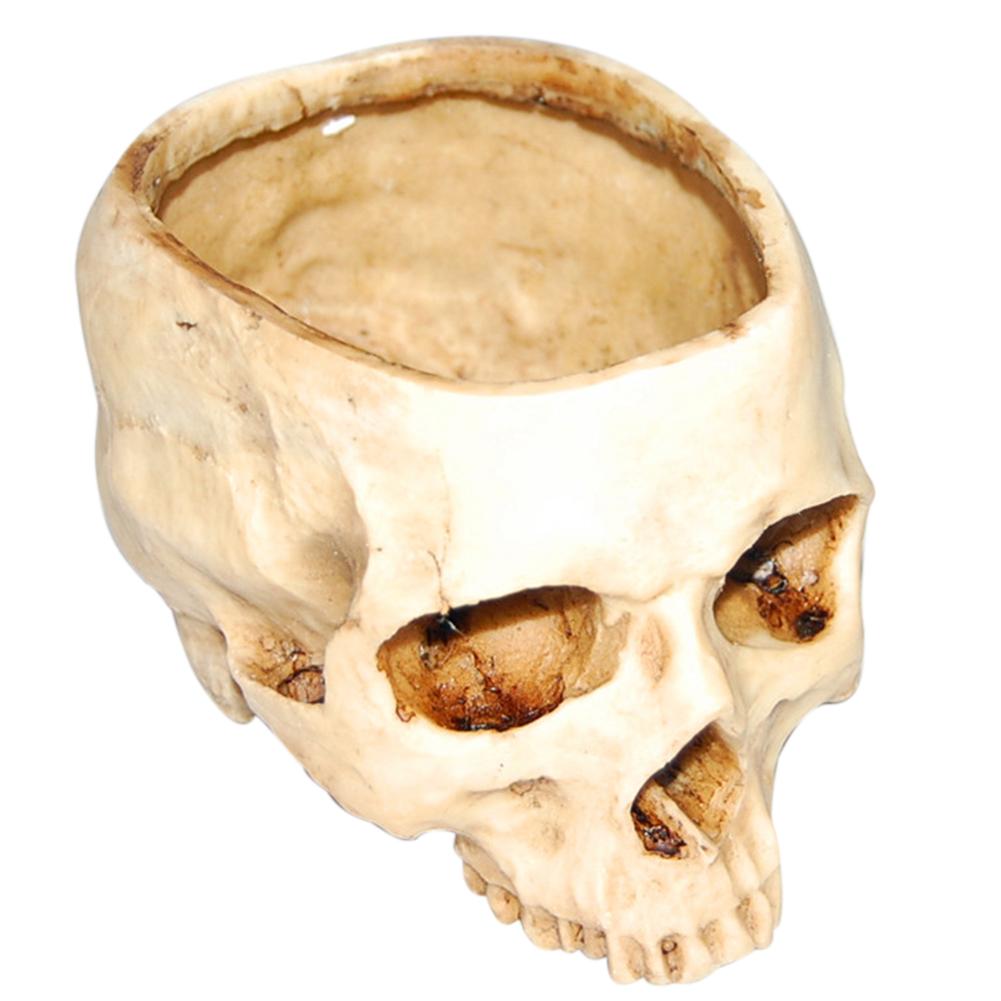 Skull Motif Flower Pot