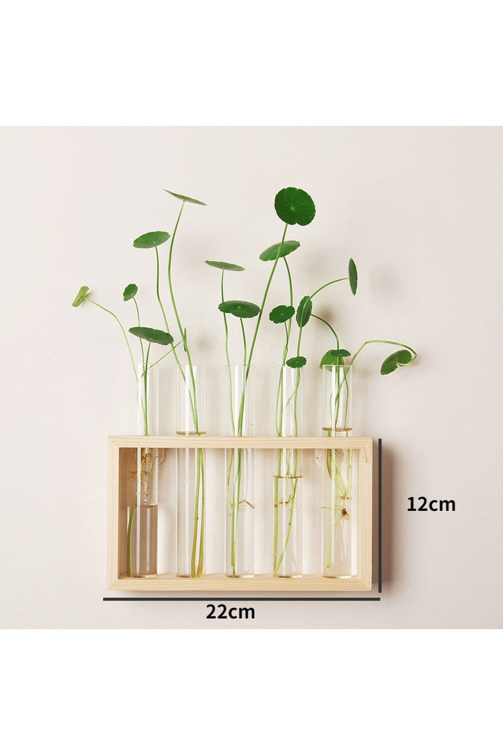 Wooden Hydroponic Plant Vases