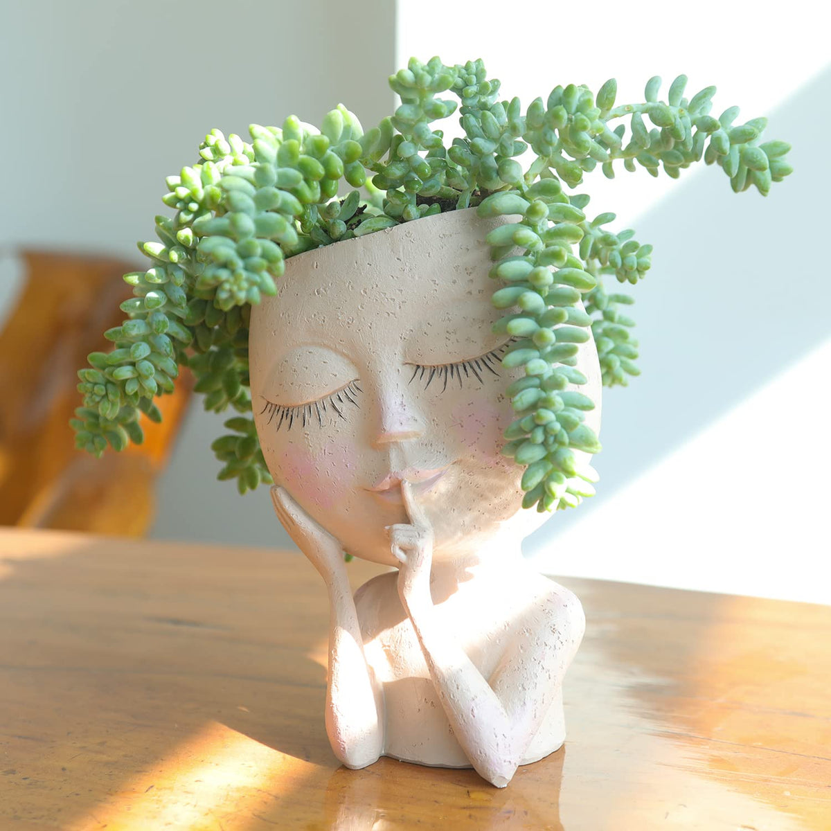 Unique Resin Head Plant Holder