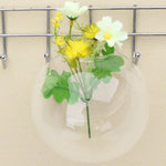 Glass Hydroponic Wall Vase