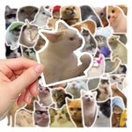 10/50pcs Animal Cat Meme Stickers