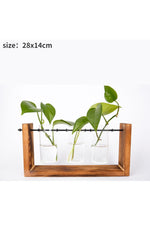 Wooden Hydroponic Plant Vases