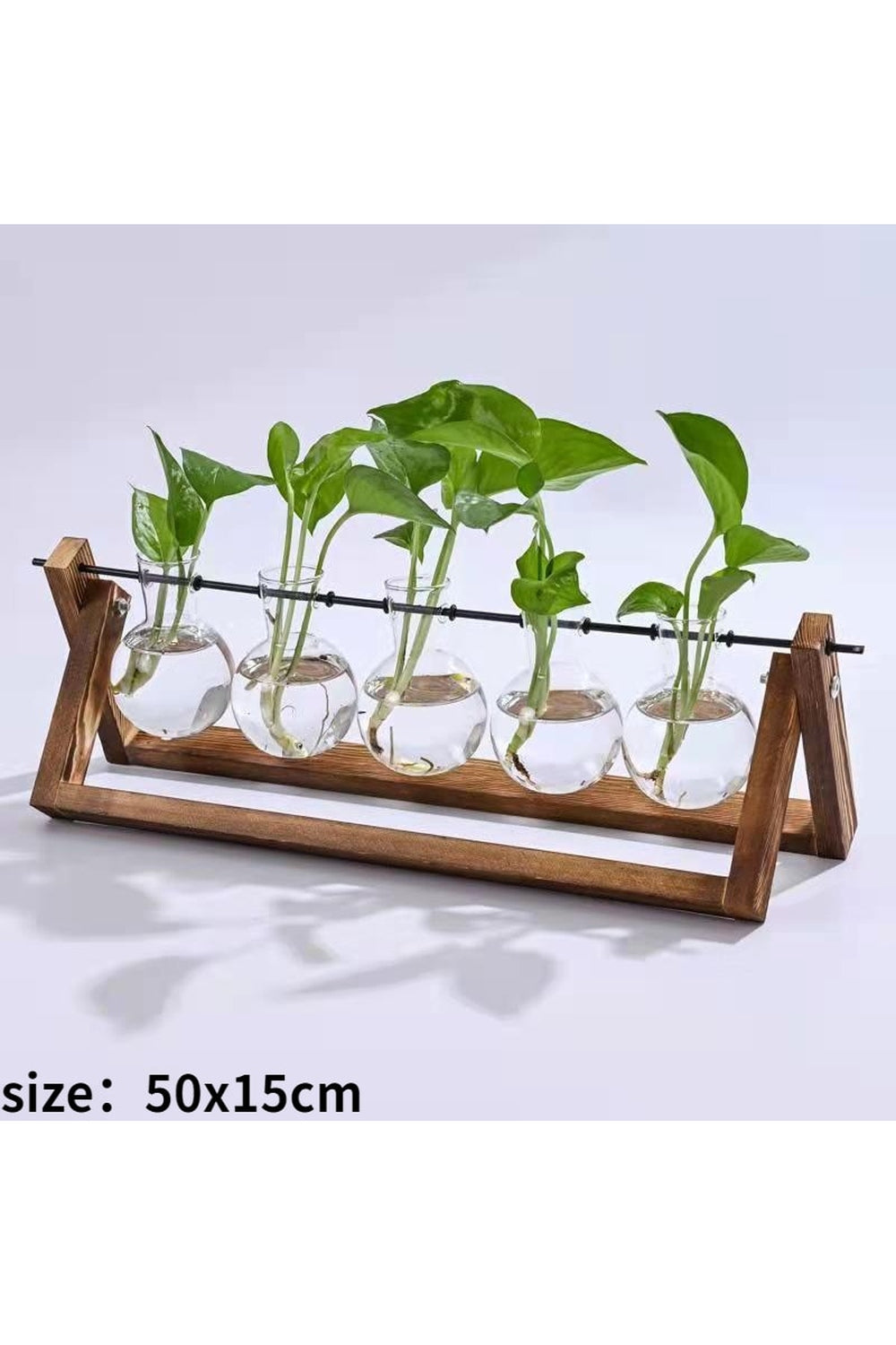 Wooden Hydroponic Plant Vases