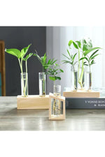 Wooden Hydroponic Plant Vases