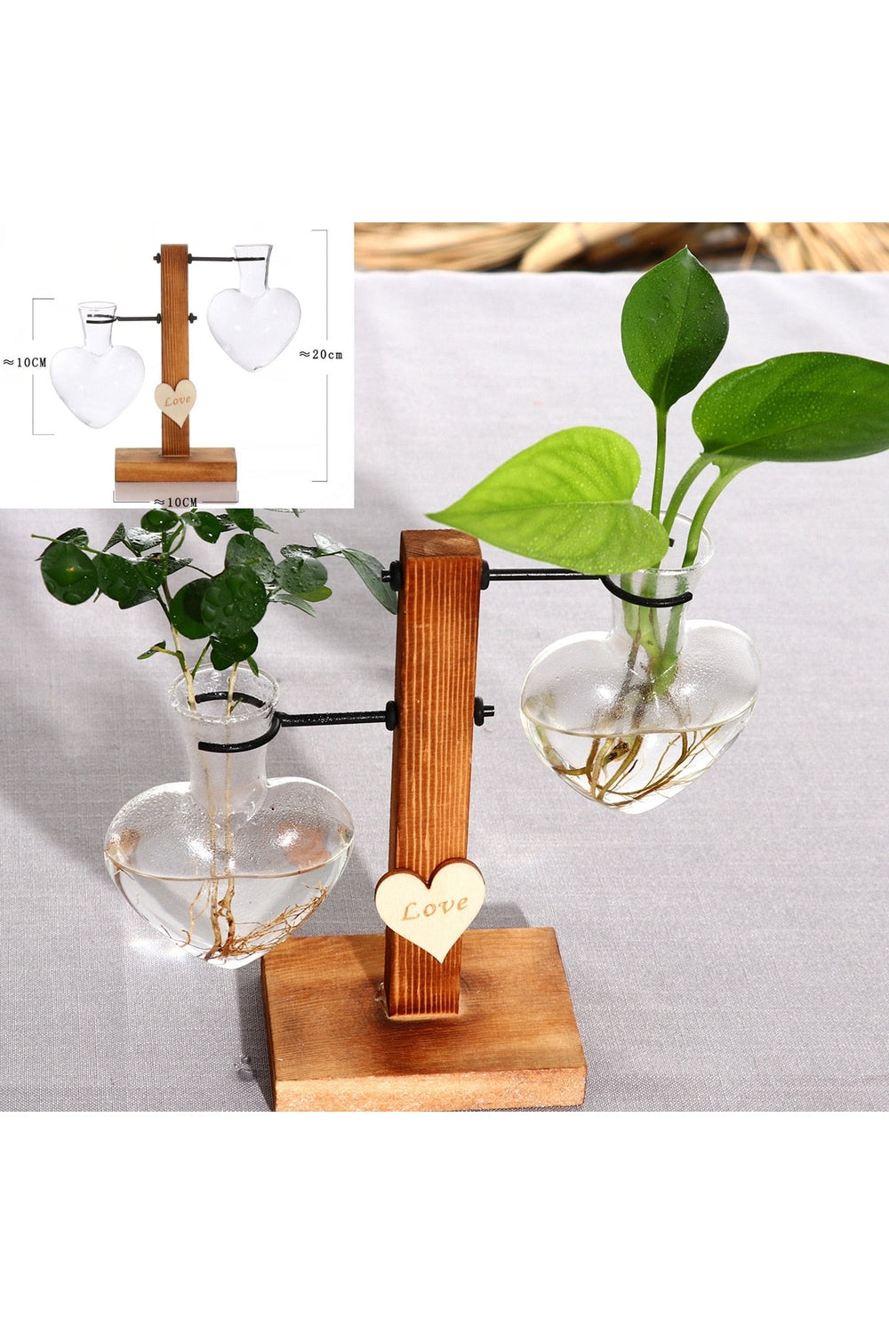 Wooden Hydroponic Plant Vases