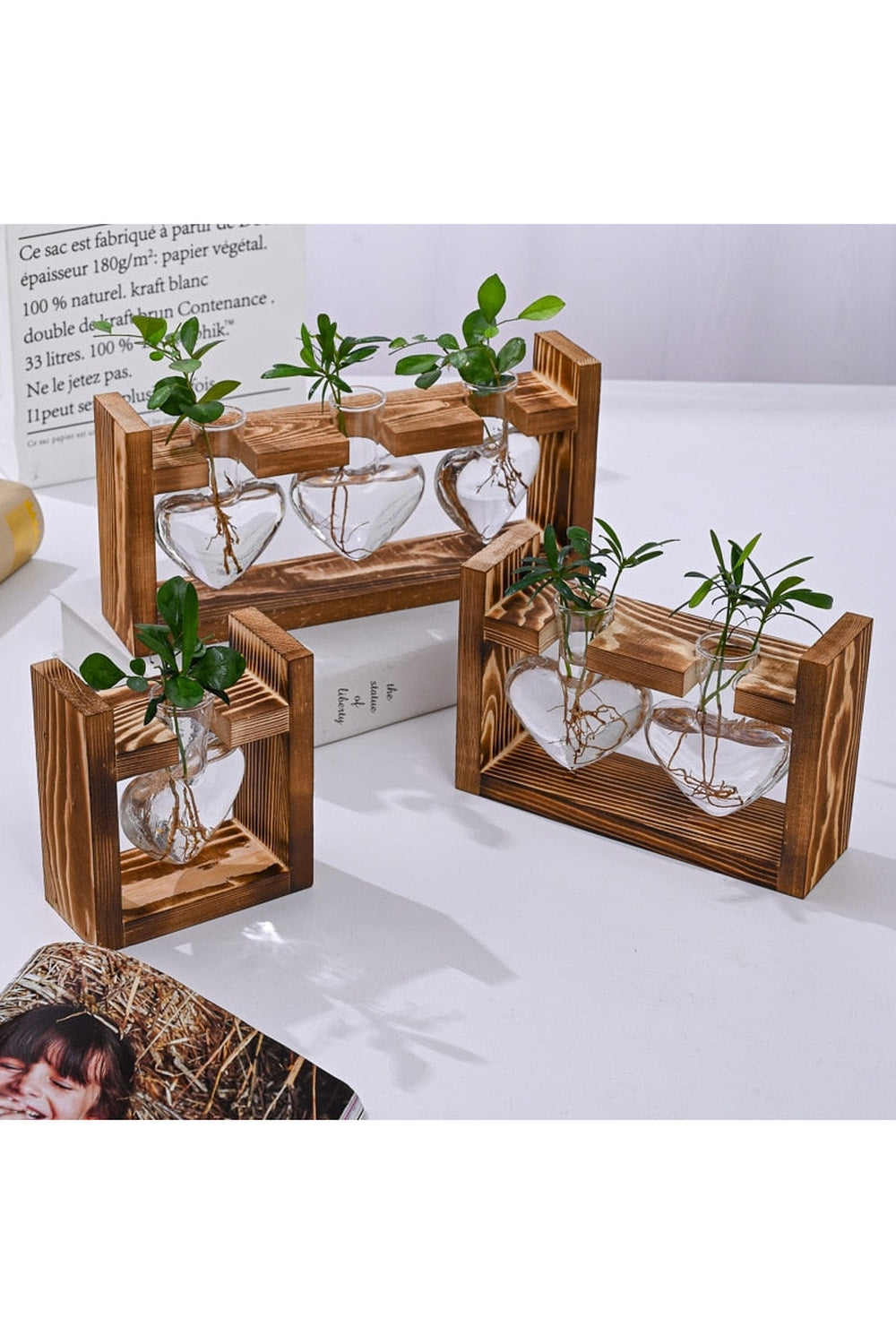 Wooden Hydroponic Plant Vases